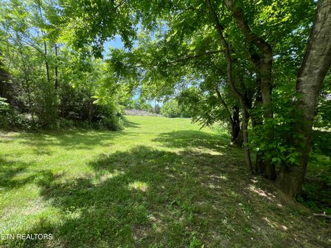 Tiny photo for 4 Wilson Rd, Sevierville, TN 37862 (MLS # 1341026)