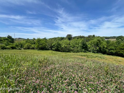 Tiny photo for 4 Wilson Rd, Sevierville, TN 37862 (MLS # 1341026)