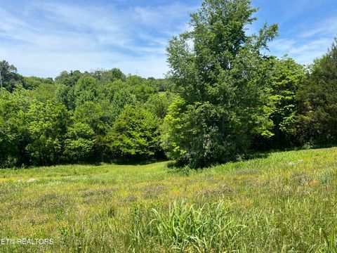 Tiny photo for 4 Wilson Rd, Sevierville, TN 37862 (MLS # 1341026)