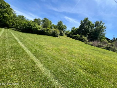Tiny photo for 4 Wilson Rd, Sevierville, TN 37862 (MLS # 1341026)