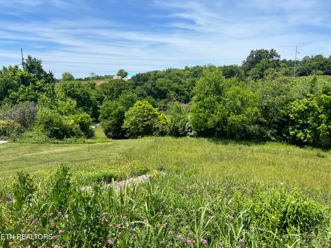 Tiny photo for 4 Wilson Rd, Sevierville, TN 37862 (MLS # 1341026)