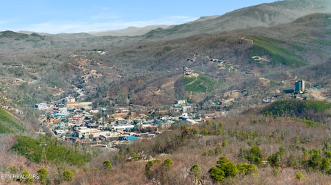 Tiny photo for 1664 Arbon Court, Gatlinburg, TN 37738 (MLS # 1343376)