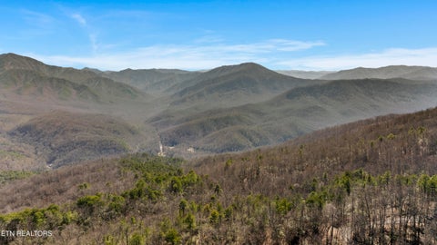 Tiny photo for 1664 Arbon Court, Gatlinburg, TN 37738 (MLS # 1343376)