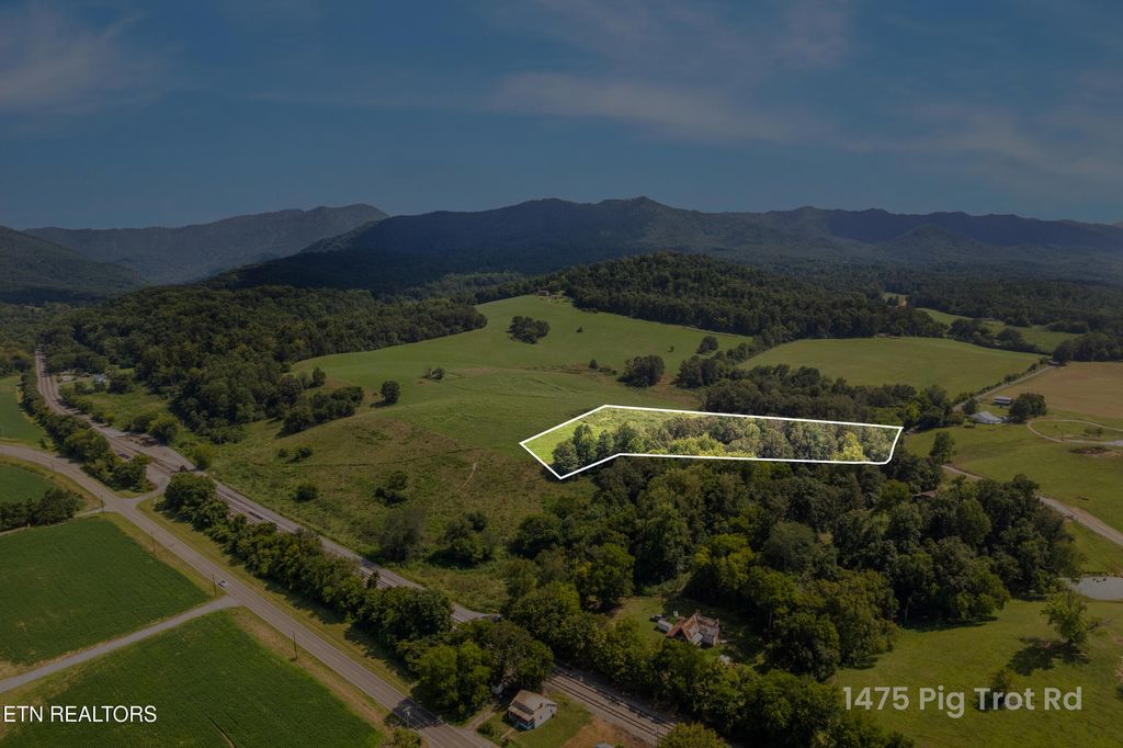 Photo of Lot 1 Pig Trot Rd, Newport, TN 37821 (MLS # 1312853)