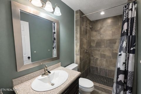 Tiny photo for 3136 Easy St, Sevierville, TN 37862 (MLS # 1325728)