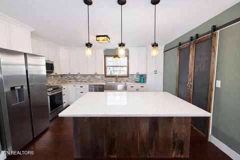 Tiny photo for 3136 Easy St, Sevierville, TN 37862 (MLS # 1325728)