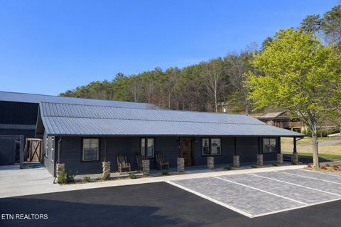 Tiny photo for 3136 Easy St, Sevierville, TN 37862 (MLS # 1325728)