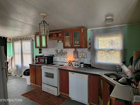 Tiny photo for 134 Skyview Rd, Speedwell, TN 37870 (MLS # 1332053)