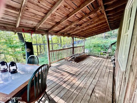Tiny photo for 2977 Arch Rd, Cosby, TN 37722 (MLS # 1315116)