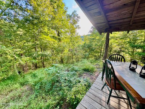 Tiny photo for 2977 Arch Rd, Cosby, TN 37722 (MLS # 1315116)