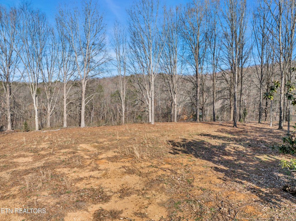 Photo of Espalier Drive Drive, Decatur, TN 37322 (MLS # 1255905)