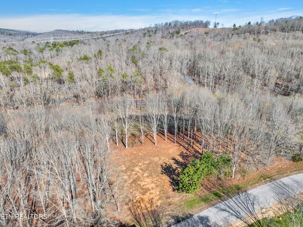 Photo of Espalier Drive Drive, Decatur, TN 37322 (MLS # 1255905)