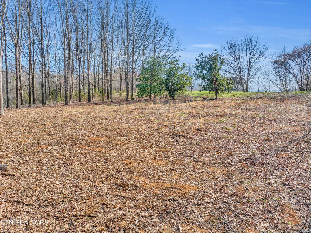 Photo of Espalier Drive Drive, Decatur, TN 37322 (MLS # 1255905)
