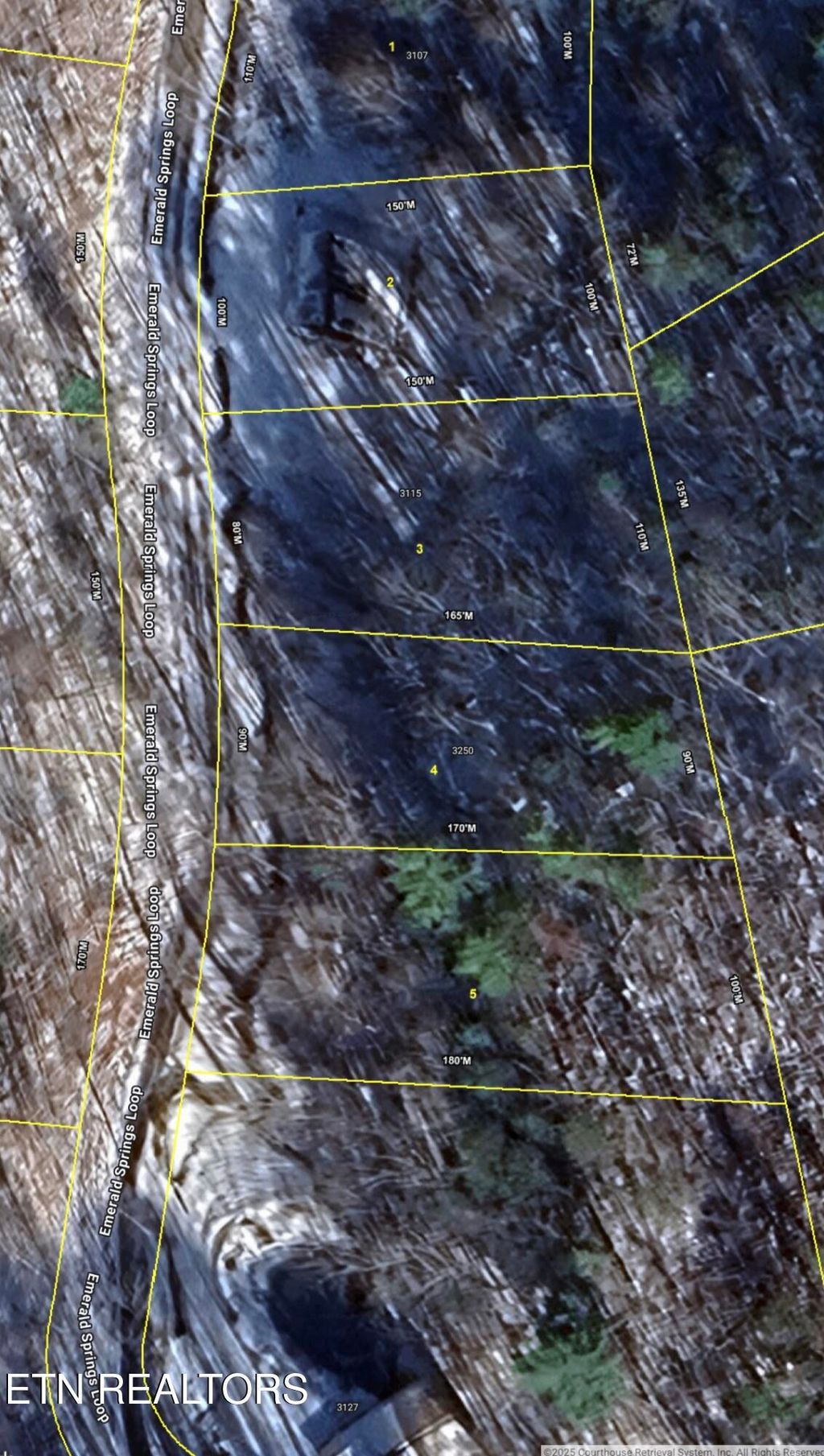 Photo of 4 Emerald Springs Loop, Sevierville, TN 37862 (MLS # 1324922)