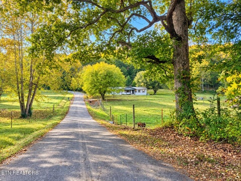 Tiny photo for 146 Main Hollow Rd, Philadelphia, TN 37846 (MLS # 1359328)