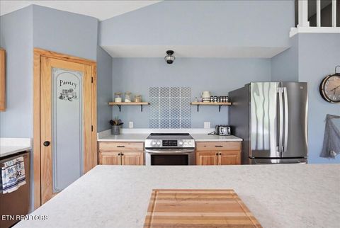 Tiny photo for 1321 Aqua Vista Way, Newport, TN 37821 (MLS # 1337836)