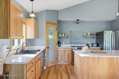 Tiny photo for 1321 Aqua Vista Way, Newport, TN 37821 (MLS # 1337836)