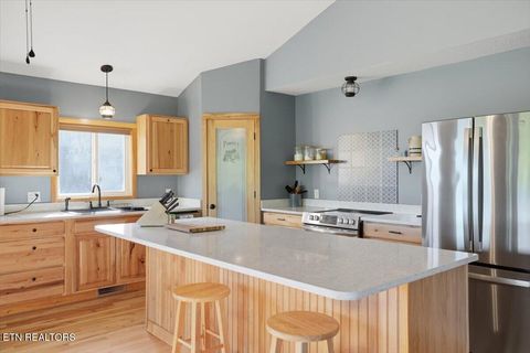 Tiny photo for 1321 Aqua Vista Way, Newport, TN 37821 (MLS # 1337836)