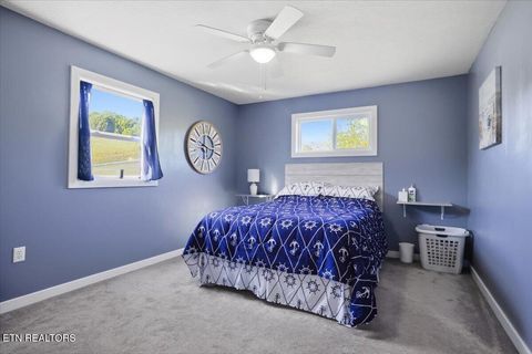 Tiny photo for 1321 Aqua Vista Way, Newport, TN 37821 (MLS # 1337836)