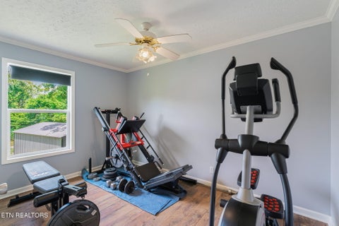 Tiny photo for 2156 Hiwassee Rd, Sweetwater, TN 37874 (MLS # 1349789)