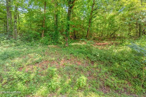 Tiny photo for 2156 Hiwassee Rd, Sweetwater, TN 37874 (MLS # 1349789)