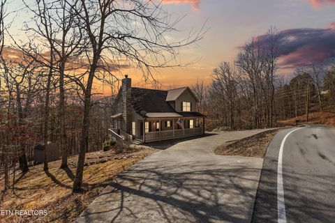 Tiny photo for 1118 Indian Shadows Drive, Ten Mile, TN 37880 (MLS # 1329450)