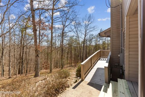 Tiny photo for 1118 Indian Shadows Drive, Ten Mile, TN 37880 (MLS # 1329450)