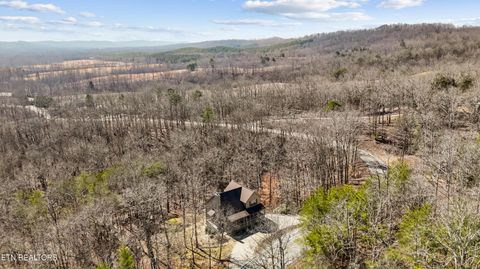 Tiny photo for 1118 Indian Shadows Drive, Ten Mile, TN 37880 (MLS # 1329450)