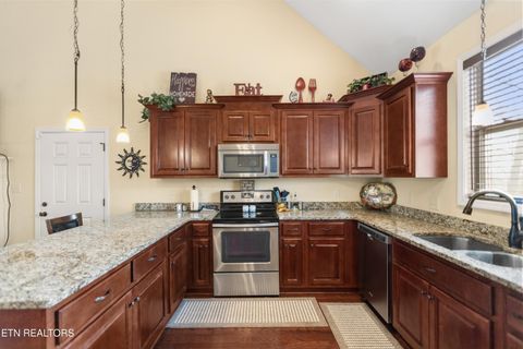 Tiny photo for 1118 Indian Shadows Drive, Ten Mile, TN 37880 (MLS # 1329450)