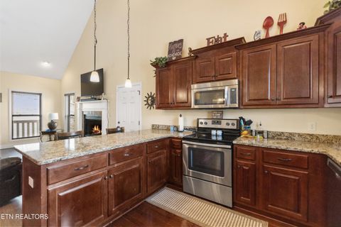 Tiny photo for 1118 Indian Shadows Drive, Ten Mile, TN 37880 (MLS # 1329450)