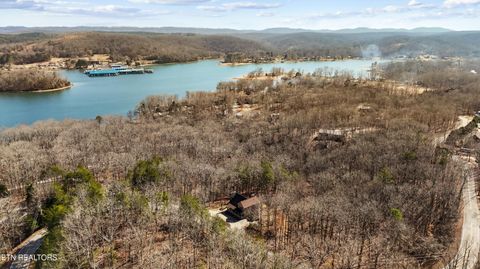 Tiny photo for 1118 Indian Shadows Drive, Ten Mile, TN 37880 (MLS # 1329450)