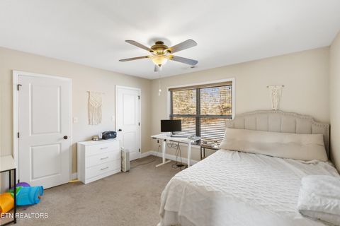 Tiny photo for 1118 Indian Shadows Drive, Ten Mile, TN 37880 (MLS # 1329450)