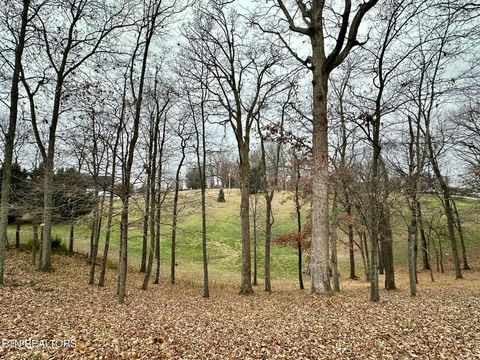 Tiny photo for 2562 Liberty Rd, Talbott, TN 37877 (MLS # 1323805)