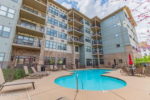 Tiny photo for 445 W Blount Ave #108, Knoxville, TN 37920 (MLS # 1337100)