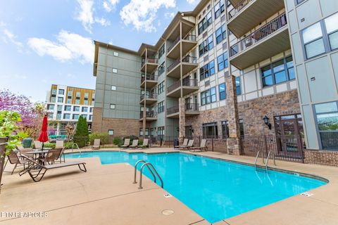 Tiny photo for 445 W Blount Ave #108, Knoxville, TN 37920 (MLS # 1337100)