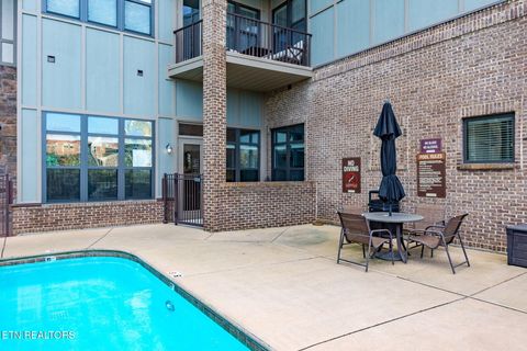 Tiny photo for 445 W Blount Ave #108, Knoxville, TN 37920 (MLS # 1337100)