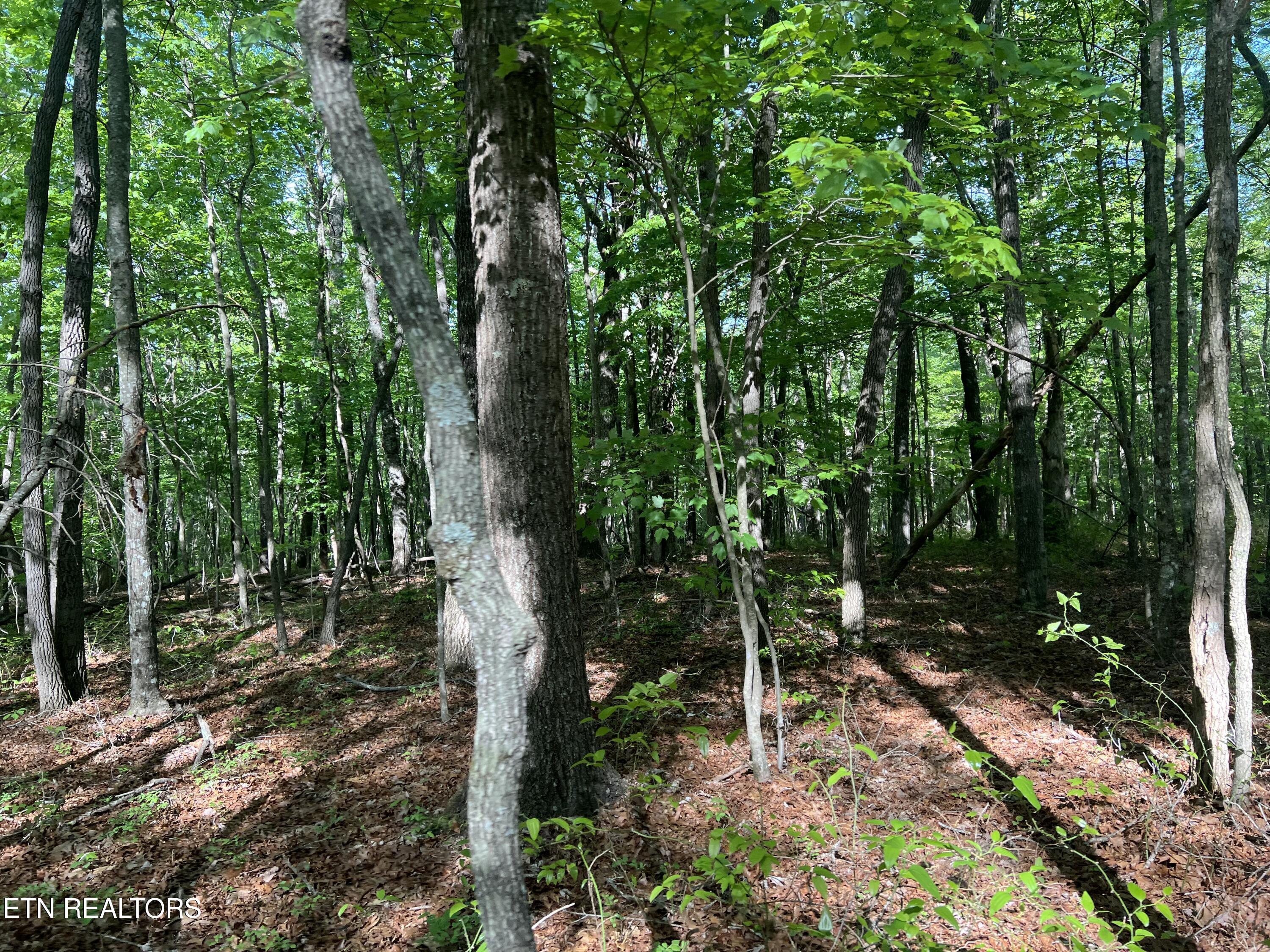 328ac Peavine Firetower Rd
