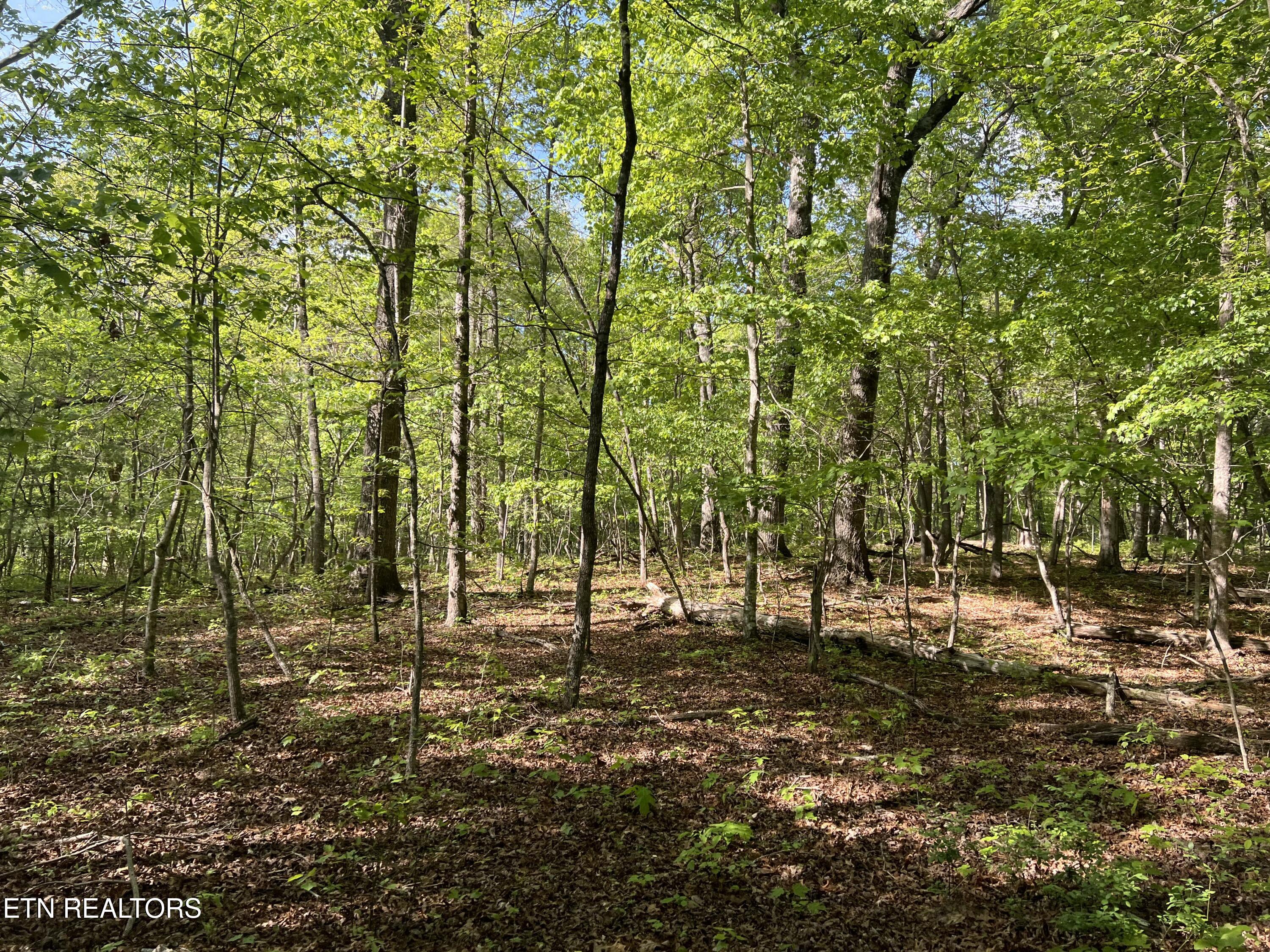 328ac Peavine Firetower Rd