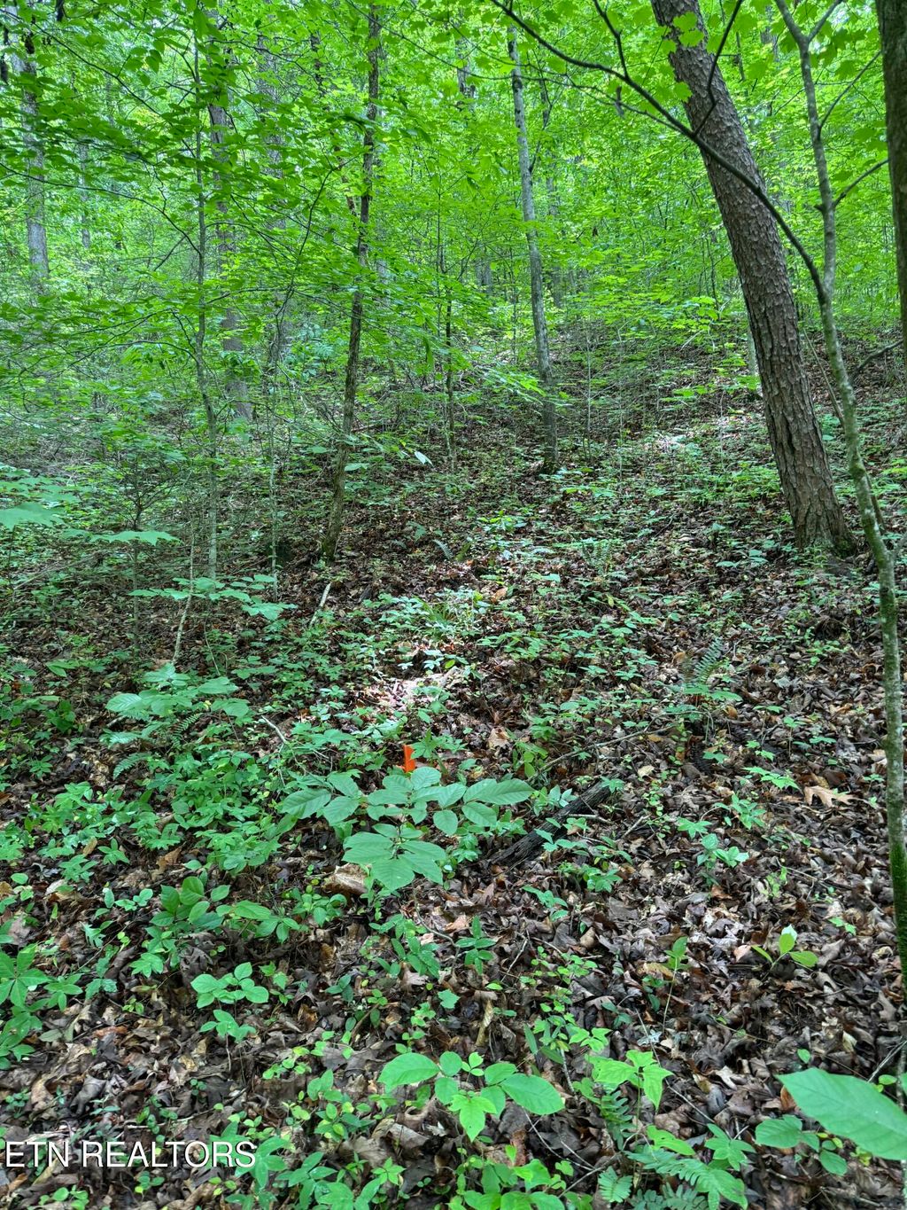 Photo of Lot 5 Mel Hall Rd, Maryville, TN 37803 (MLS # 1315181)