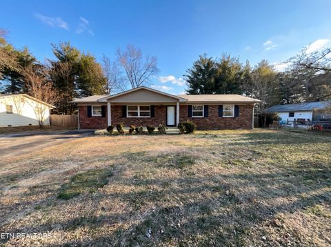 Photo of 4606 Elm View Drive, Knoxville, TN 37921 (MLS # 1327899)