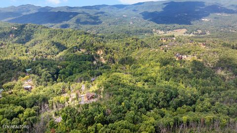 Tiny photo for Phase E Summitt Village Drive, Sevierville, TN 37862 (MLS # 1332577)