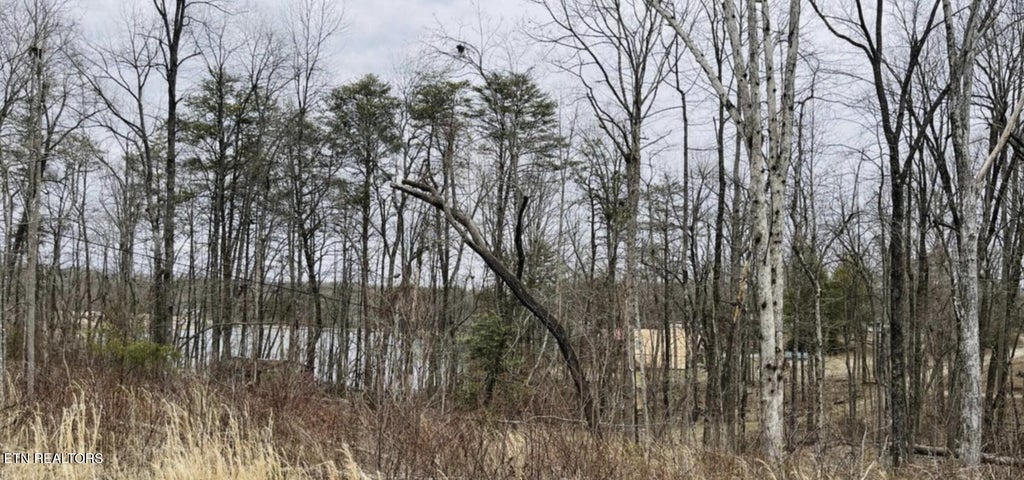 Photo of Tresa St, Crossville, TN 38572 (MLS # 1344766)