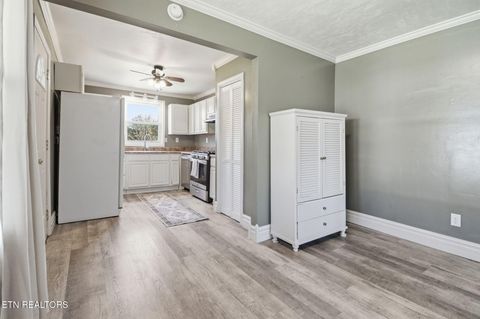 Tiny photo for 335 S Fowler St, Clinton, TN 37716 (MLS # 1332552)