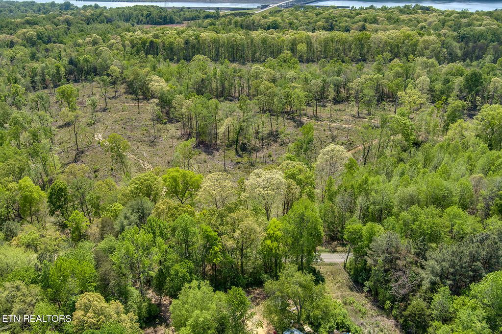 Photo of 567 Oak Grove Rd, Decatur, TN 37322 (MLS # 1335506)