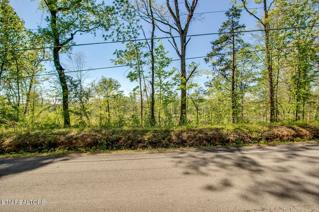 Photo of 567 Oak Grove Rd, Decatur, TN 37322 (MLS # 1335506)