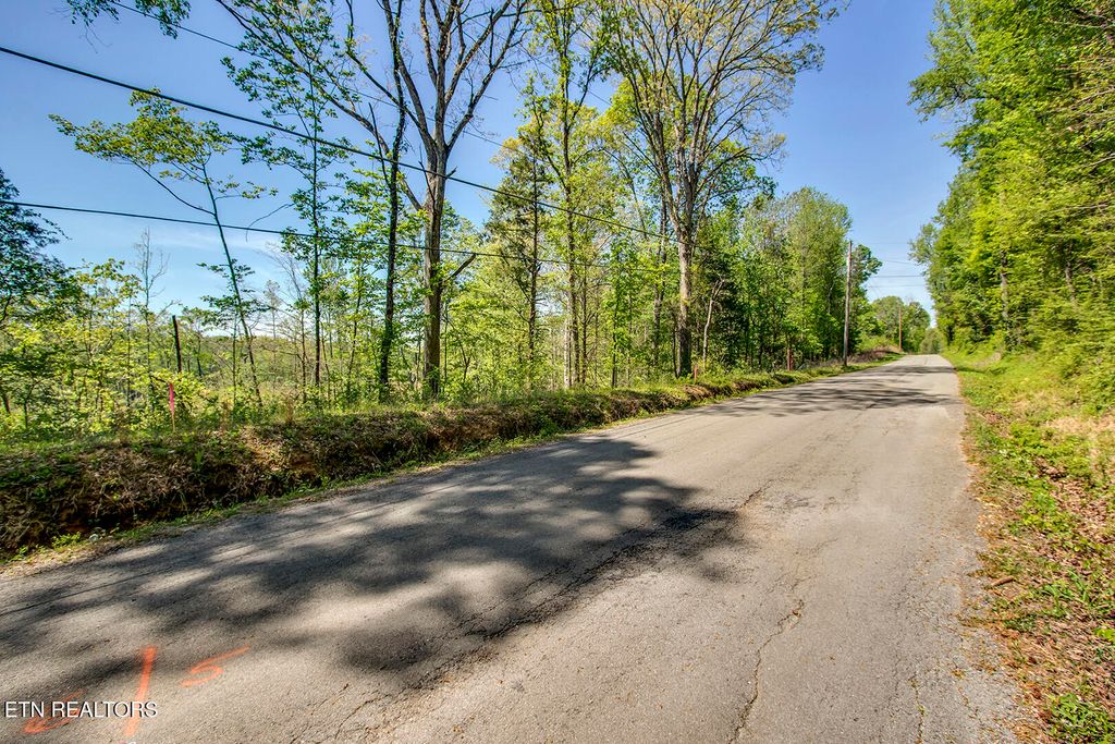 Photo of 567 Oak Grove Rd, Decatur, TN 37322 (MLS # 1335506)