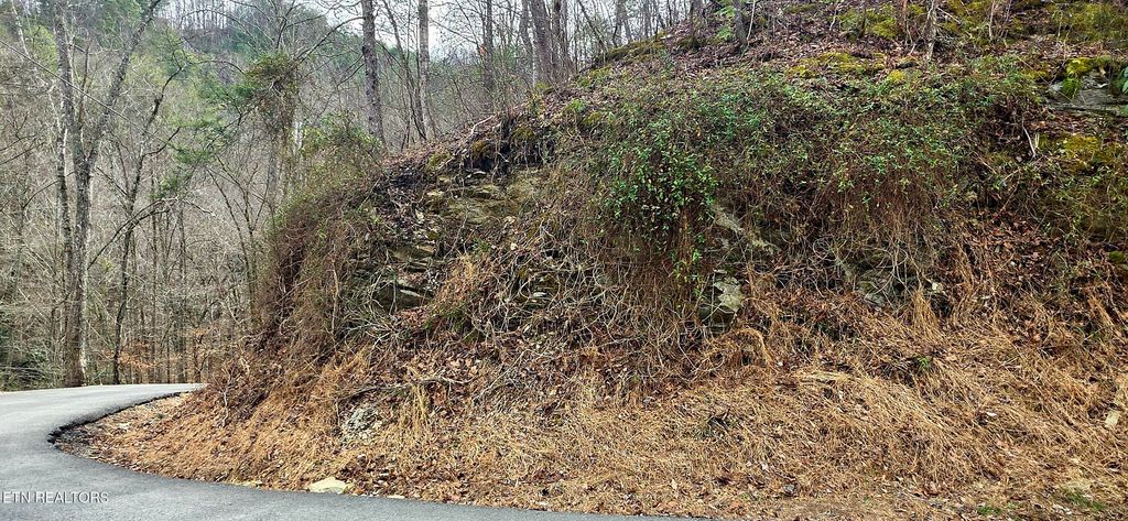 Photo of 6 Wildcat Ridge Rd, Sevierville, TN 37862 (MLS # 1330491)