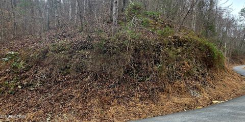 Photo of 6 Wildcat Ridge Rd, Sevierville, TN 37862 (MLS # 1330491)