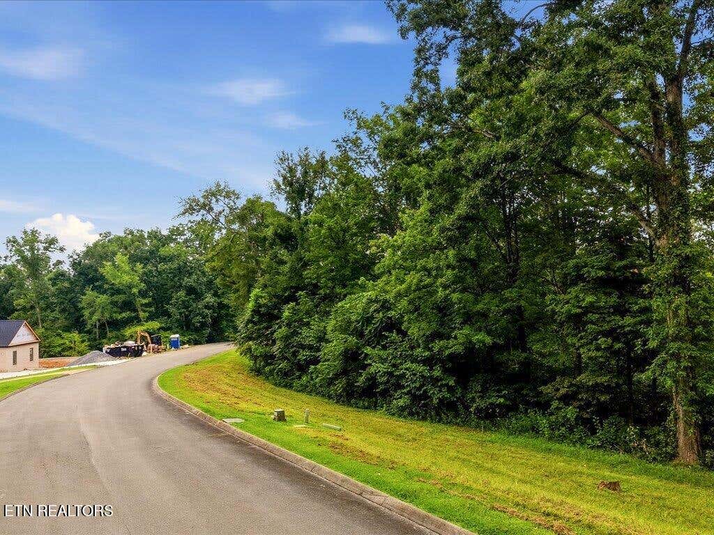 Photo of 6279 Outlook Tr, Russellville, TN 37860 (MLS # 1350469)