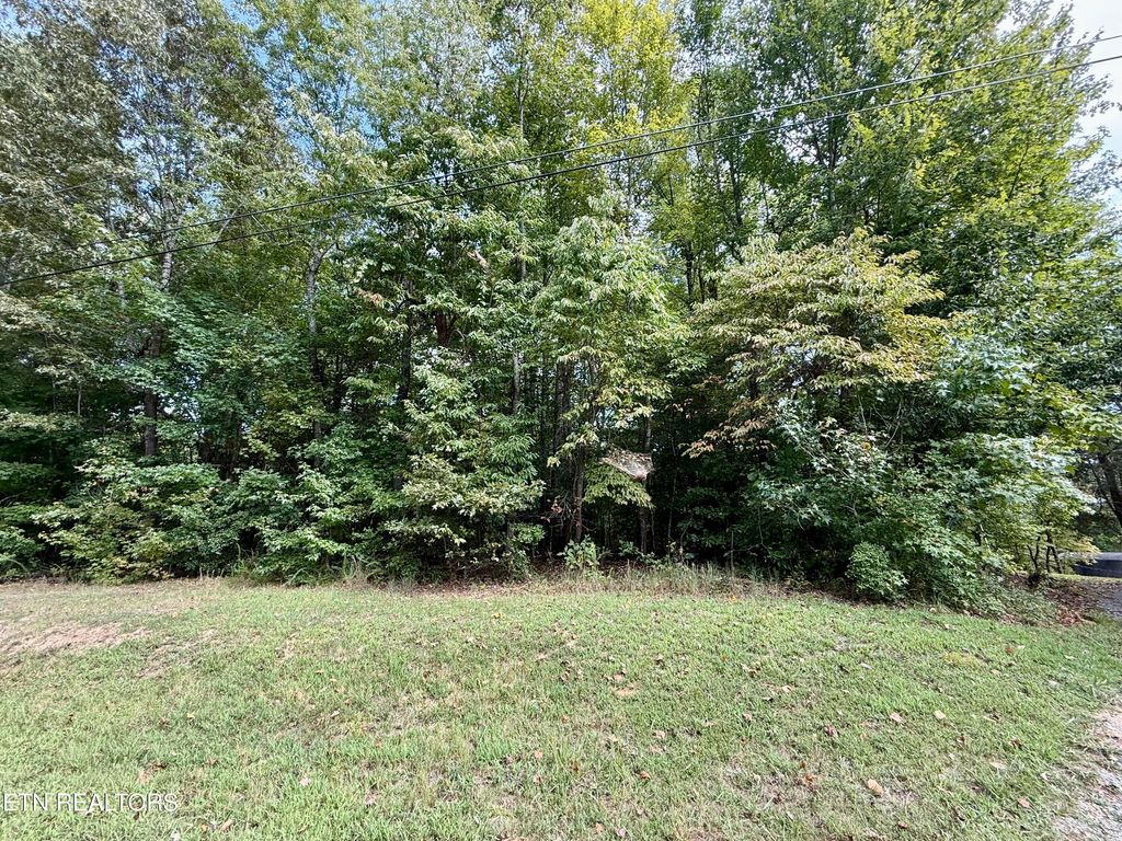 Photo of 23 Phillips Drive, Rockwood, TN 37854 (MLS # 1314745)